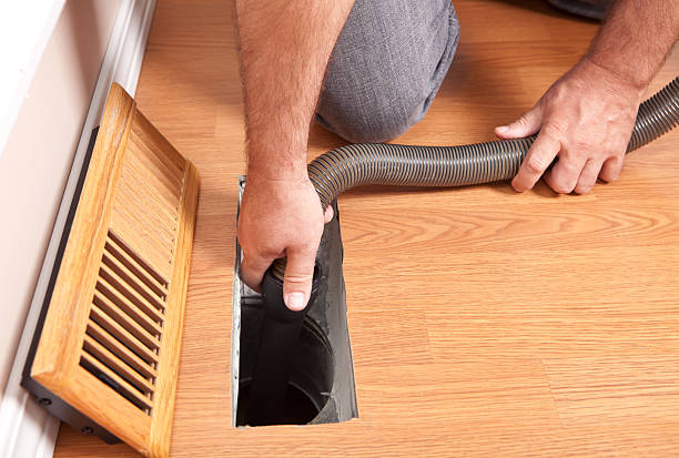 Best Air Duct Mold Removal  in Centennial, CO