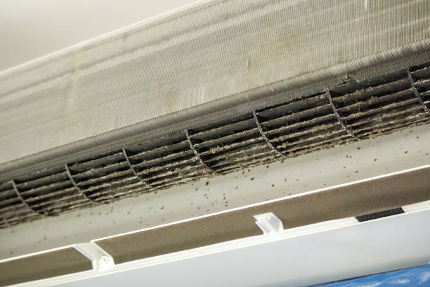 Air Duct Mold Removal in CO